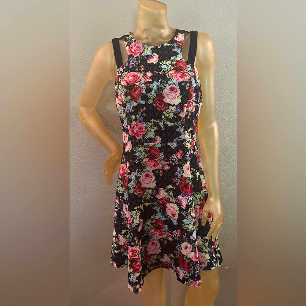 Jealous Tomato size large women’s dress